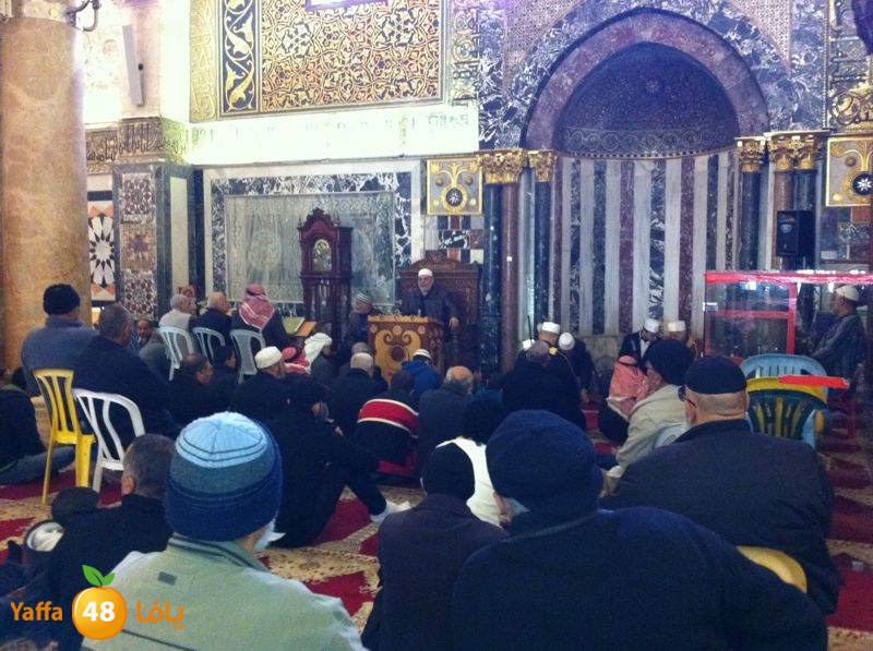 yaffa byareq 0114 (9).jpg